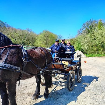 Eco-Gite La Chambre Du Vanneur Mentheville Екстериор снимка