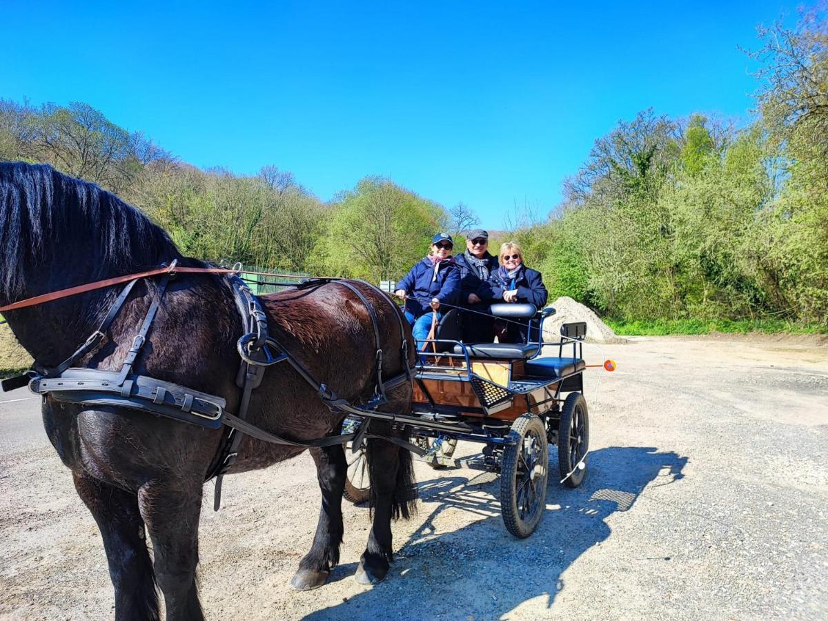 Eco-Gite La Chambre Du Vanneur Mentheville Екстериор снимка