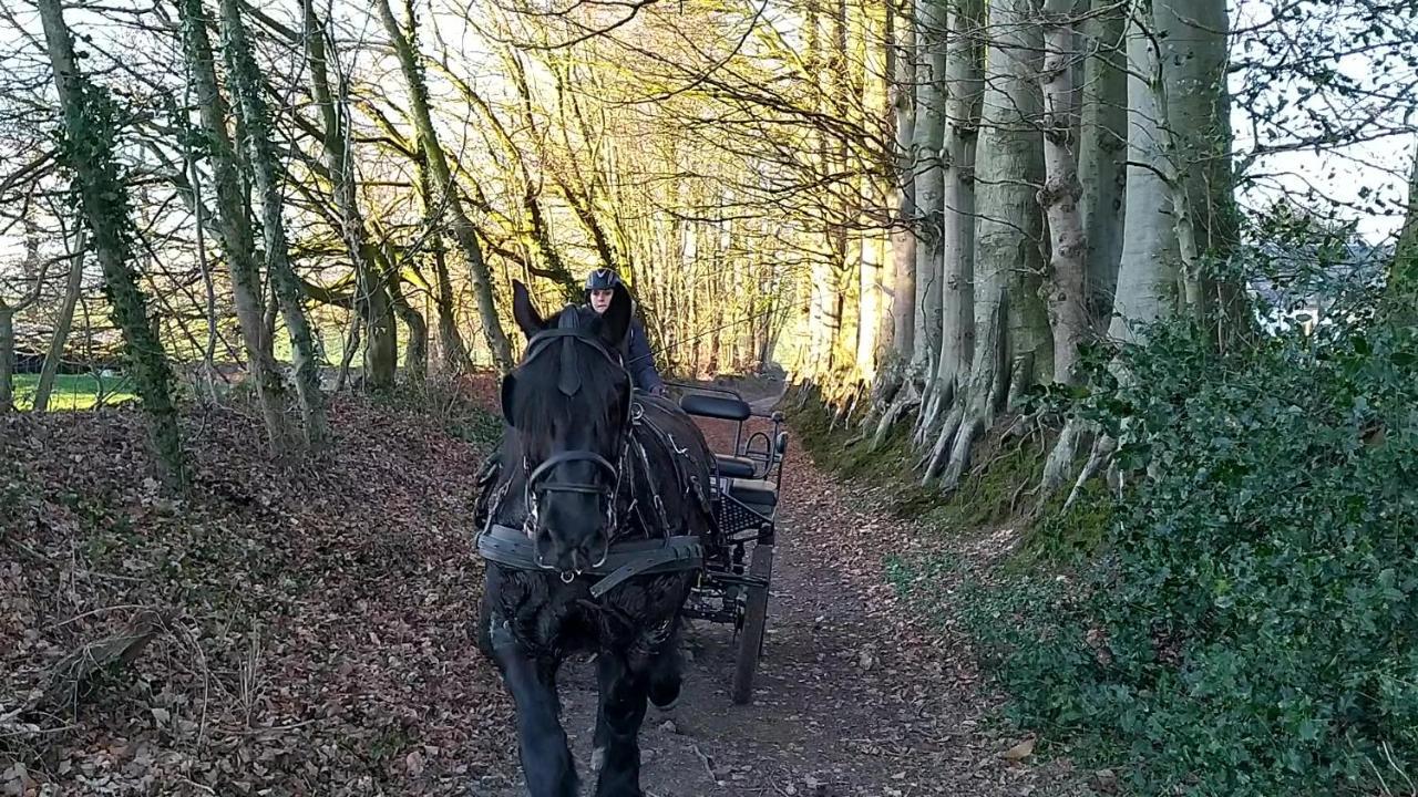 Eco-Gite La Chambre Du Vanneur Mentheville Екстериор снимка